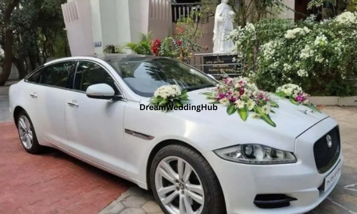 Jay Meladi ma travels